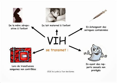 vih sexo oral|La transmission du VIH par rapports oraux